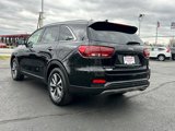 Used 2019 Kia Sorento EX image 6