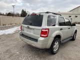 Used 2008 Ford Escape XLT image 5