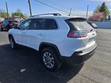 Used 2019 Jeep Cherokee Latitude Plus w/ Cold Weather Group image 6