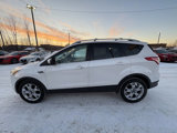 Used 2014 Ford Escape Titanium image 2