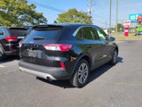 Used 2022 Ford Escape SEL image 3