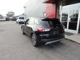 Used 2020 Ford Escape SEL image 3