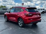 Used 2023 Ford Escape ST-Line image 6