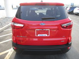 Used 2019 Ford EcoSport SE w/ SE Convenience Package image 4