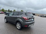 Used 2017 Ford Escape SE w/ SE Leather Comfort Package image 5