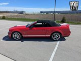 Used 2007 Ford Mustang Shelby GT500 image 3