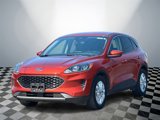 Used 2020 Ford Escape SE image 5