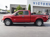 Used 2013 Ford F150 XLT w/ Luxury Equipment Group image 2