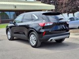 Used 2022 Ford Escape SE w/ Convenience Package image 3