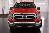 Used 2021 Ford F150 XLT w/ Equipment Group 302A High image 2
