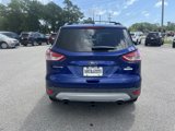 Used 2014 Ford Escape SE w/ Equipment Group 201A image 4