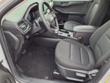 New 2025 Ford Escape Active w/ Tech Pack #1 image 6