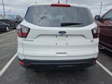 Used 2018 Ford Escape SE w/ SE Sport Appearance Package image 4
