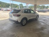 Certified 2023 Ford Escape Active w/ Tech Pack #1 image 4