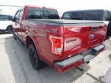 Used 2016 Ford F150 XLT w/ Equipment Group 302A Luxury image 6