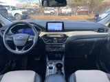 Used 2021 Ford Escape Titanium w/ Titanium Elite Package image 2