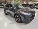 Used 2022 Ford Escape SE w/ SE Sport Appearance Package image 4