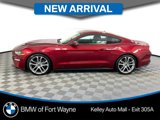 Used 2019 Ford Mustang Premium w/ Equipment Group 201A image 1