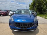 Used 2022 Ford Escape SE image 2