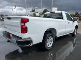 Used 2024 Chevrolet Silverado 1500 W/T w/ WT Fleet Convenience Package image 4