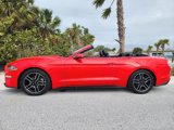 Used 2018 Ford Mustang Premium w/ Equipment Group 201A image 3