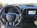 Used 2020 Ford F150 XLT w/ Equipment Group 301A Mid image 3