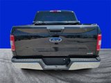 Certified 2019 Ford F150 XLT w/ Equipment Group 301A Mid image 3