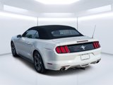 Used 2016 Ford Mustang Convertible w/ Equipment Group 051A image 5