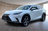 Certified 2019 Lexus NX 300h AWD image 3