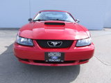 Used 2001 Ford Mustang GT Premium image 5
