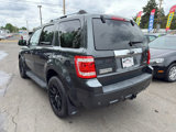 Used 2009 Ford Escape Limited image 6
