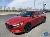 Used 2023 Hyundai Elantra SEL image 4