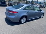 Used 2024 Toyota Corolla LE image 5