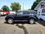 Used 2011 Ford Escape XLT w/ 203A Rapid Spec Order Code image 6