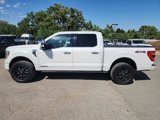 Certified 2021 Ford F150 Platinum w/ Equipment Group 701A High image 2