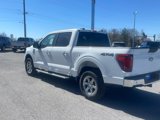 New 2025 Ford F150 XL image 6