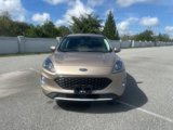 Used 2021 Ford Escape SEL image 2