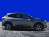 New 2025 Ford Escape ST-Line w/ Tech Pack #1 image 2