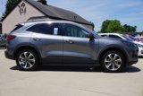 Used 2024 Ford Escape Platinum image 2