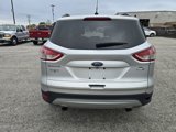 Used 2014 Ford Escape SE w/ Equipment Group 201A image 4
