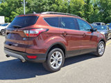 Used 2018 Ford Escape SEL w/ Ford Safe & Smart Package image 6