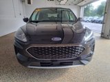 Used 2022 Ford Escape SE w/ Convenience Package image 3