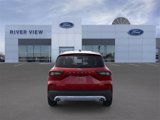 New 2025 Ford Escape Active w/ Cold Weather Package image 5