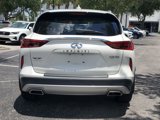 Used 2019 INFINITI QX50 Essential w/ Premium Heat Package image 5