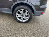 Used 2013 Ford Escape SEL image 5