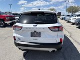 Used 2020 Ford Escape SE image 4