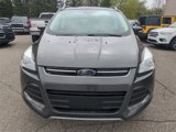 Used 2016 Ford Escape Titanium image 2