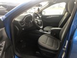 Used 2020 Ford Escape SE image 2