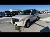 Used 2011 Ford Escape XLT w/ 202A Rapid Spec Order Code image 5