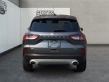 Certified 2021 Ford Escape SE image 4